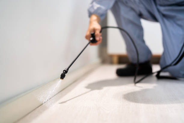 Licensed Termite Control service in Pleasant Hills, PA - Show Me Pest Control