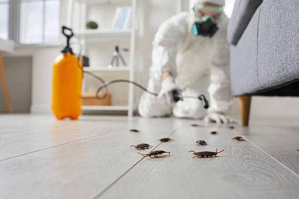 Commercial Rodent Management in Pleasant Hills